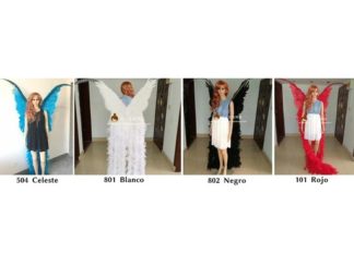 Accesorio para Fiesta: Alas con Pluma 2 metros*160cm (+)