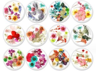 Aplique para Uñas Flores Secadas