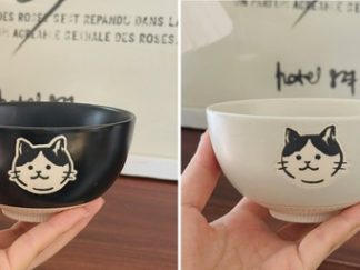Boll Gato 4.5 inches