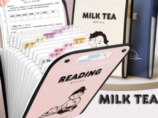 Carpeta tipo Bolso con 13 Divisiones