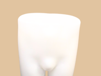 Mannequin Varón para Anatomico o Boxer