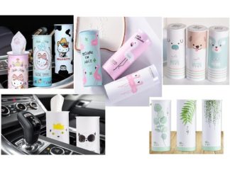 Pañuelo Desechable en Frasco para Auto