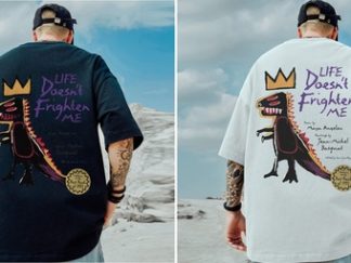 Ropa: Remera Dinosaurio XL (+)