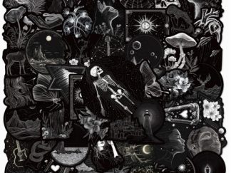 Stickers de Vinilo Negro Oscuro 50pcs