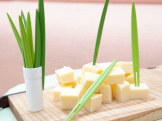 Tenedor para Fruta Planta 10pcs