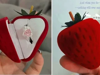 Cajita para Anillo Frutilla